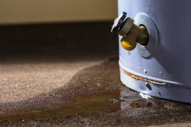  Millen, GA Water damage restoration Pros