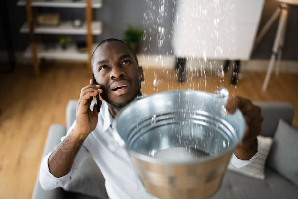 Best Flood damage cleanup  in Millen, GA