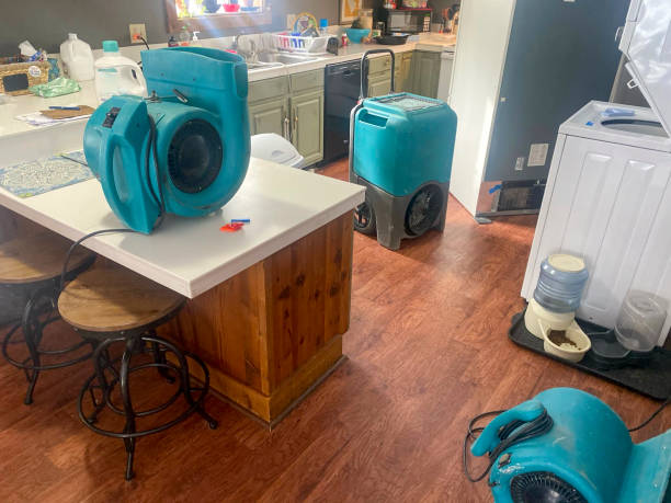 Best 24/7 water damage repair  in Millen, GA