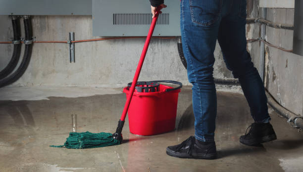 Best Mold removal after water damage  in Millen, GA