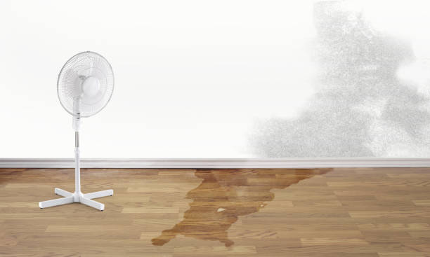 Best Flooded house restoration  in Millen, GA