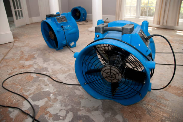 Best Flood damage cleanup  in Millen, GA
