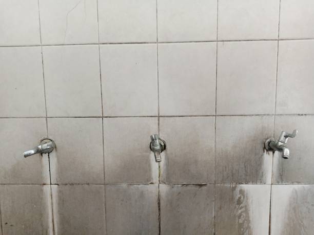 Best Basement water damage restoration  in Millen, GA