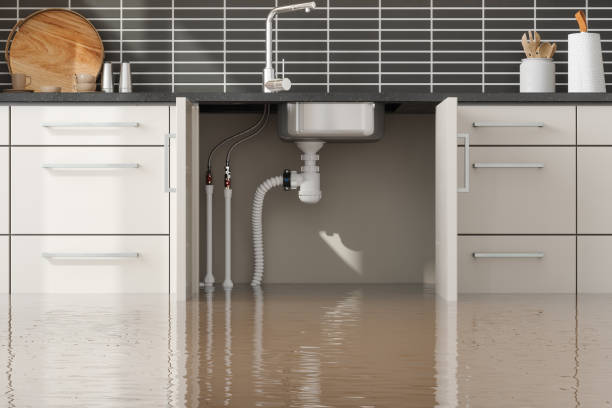 Best Water damage restoration near me  in Millen, GA