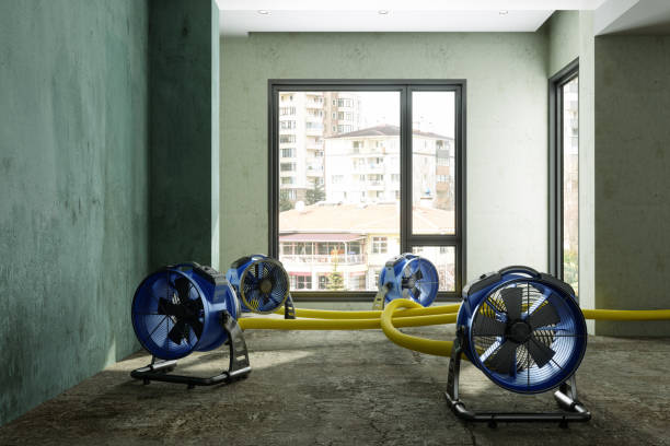 Water damage restoration experts in GA